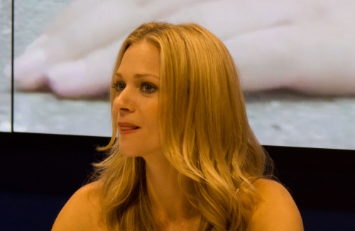 A. J. Cook